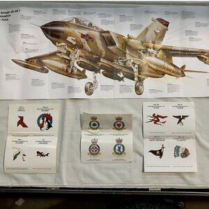 Royal Air Force Panavia Tornado GR MK1 Cutaway Poster+12 flight squadron decals